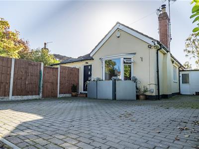 Picture 25